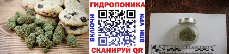 Купить закладки  Яранск  Cannafood конопля 