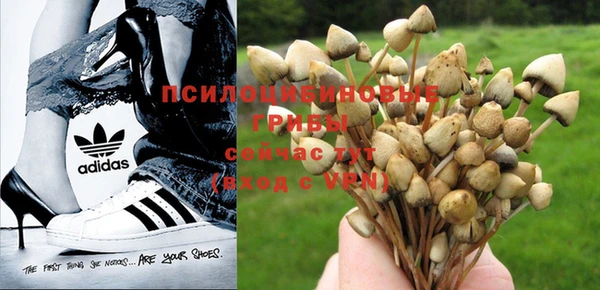 марки nbome Краснослободск